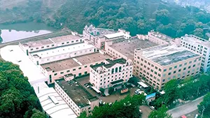 Company Profile